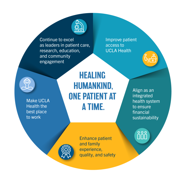 infographic displaying 5 pillars of the 2025 institutional goals